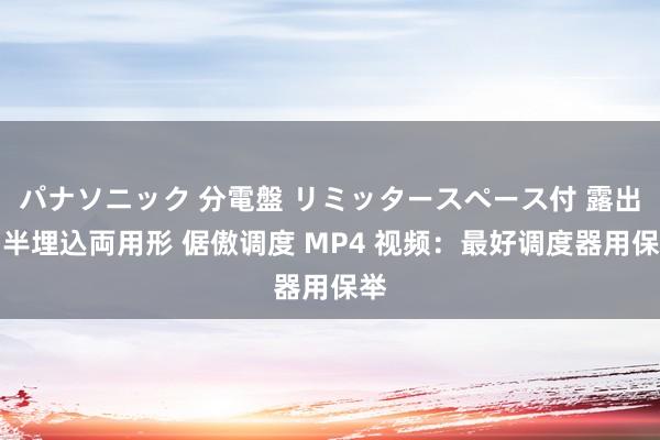 パナソニック 分電盤 リミッタースペース付 露出・半埋込両用形 倨傲调度 MP4 视频：最好调度器用保举