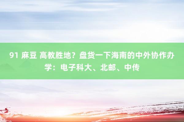 91 麻豆 高教胜地？盘货一下海南的中外协作办学：电子科大、北邮、中传