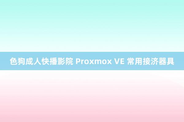 色狗成人快播影院 Proxmox VE 常用接济器具