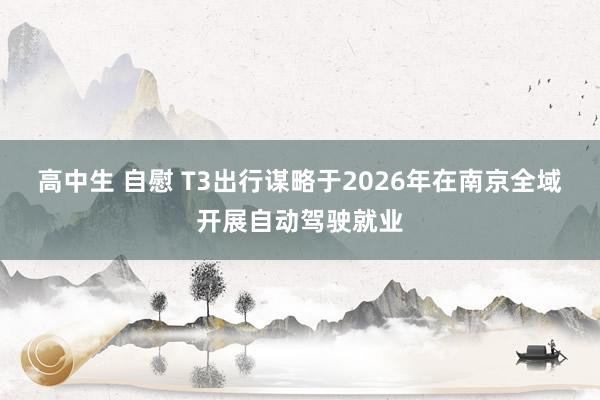 高中生 自慰 T3出行谋略于2026年在南京全域开展自动驾驶就业