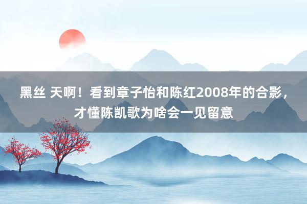 黑丝 天啊！看到章子怡和陈红2008年的合影，才懂陈凯歌为啥会一见留意