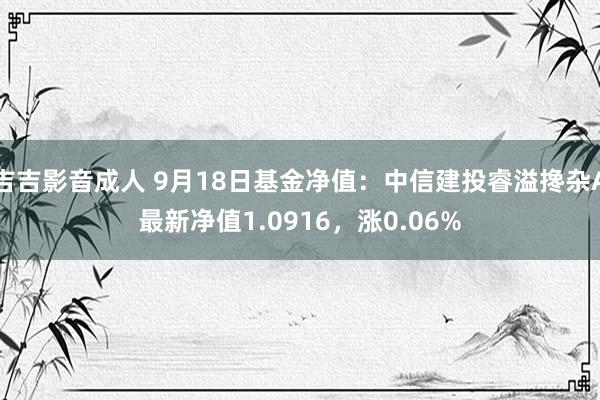 吉吉影音成人 9月18日基金净值：中信建投睿溢搀杂A最新净值1.0916，涨0.06%