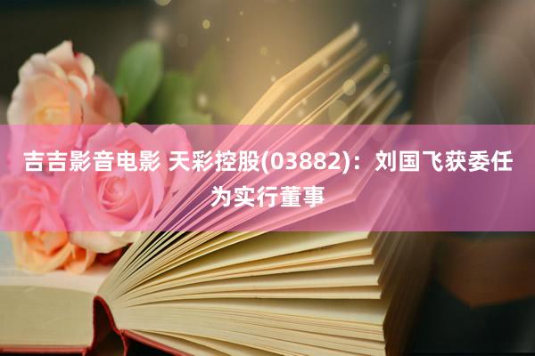 吉吉影音电影 天彩控股(03882)：刘国飞获委任为实行董事