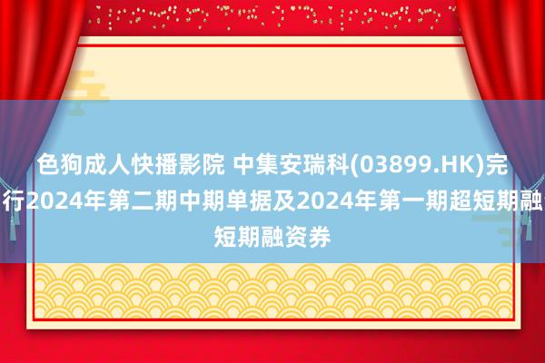 色狗成人快播影院 中集安瑞科(03899.HK)完成刊行2024年第二期中期单据及2024年第一期超短期融资券