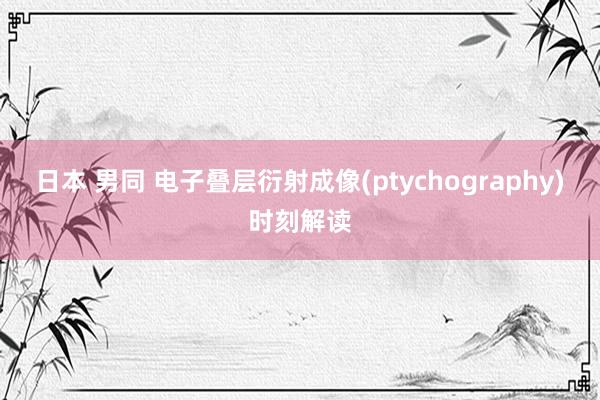 日本 男同 电子叠层衍射成像(ptychography)时刻解读