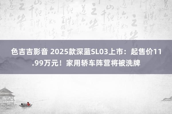 色吉吉影音 2025款深蓝SL03上市：起售价11.99万元！家用轿车阵营将被洗牌