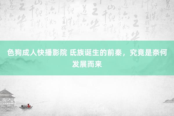 色狗成人快播影院 氐族诞生的前秦，究竟是奈何发展而来