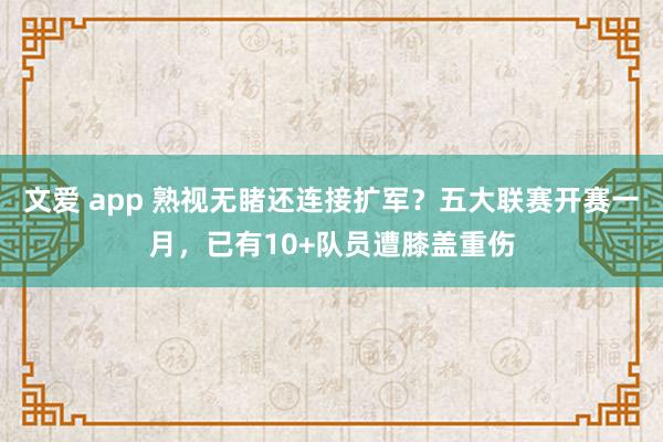 文爱 app 熟视无睹还连接扩军？五大联赛开赛一月，已有10+队员遭膝盖重伤