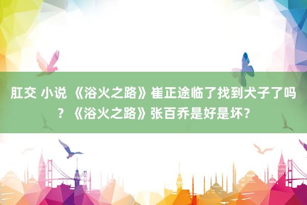 肛交 小说 《浴火之路》崔正途临了找到犬子了吗？《浴火之路》张百乔是好是坏？