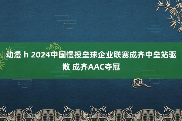 动漫 h 2024中国慢投垒球企业联赛成齐中垒站驱散 成齐AAC夺冠