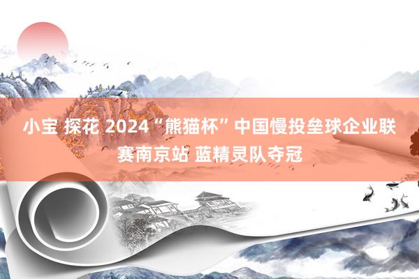 小宝 探花 2024“熊猫杯”中国慢投垒球企业联赛南京站 蓝精灵队夺冠