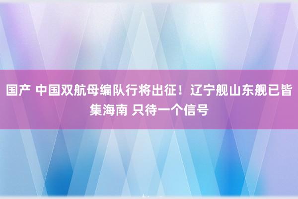 国产 中国双航母编队行将出征！辽宁舰山东舰已皆集海南 只待一个信号