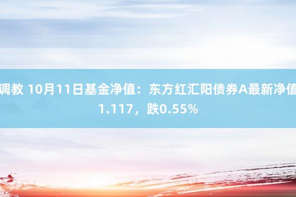 调教 10月11日基金净值：东方红汇阳债券A最新净值1.117，跌0.55%