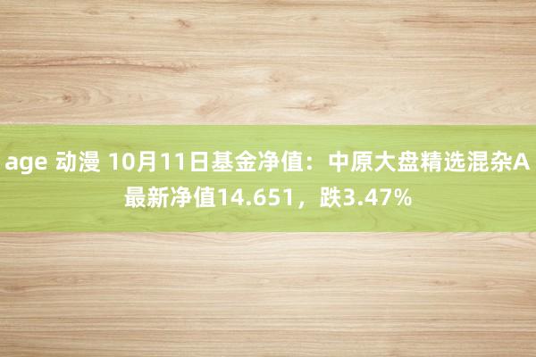 age 动漫 10月11日基金净值：中原大盘精选混杂A最新净值14.651，跌3.47%