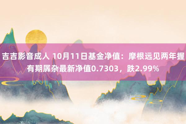 吉吉影音成人 10月11日基金净值：摩根远见两年握有期羼杂最新净值0.7303，跌2.99%