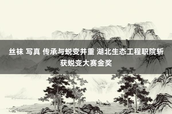 丝袜 写真 传承与蜕变并重 湖北生态工程职院斩获蜕变大赛金奖