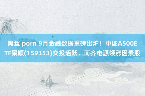 黑丝 porn 9月金融数据重磅出炉！中证A500ETF景顺(159353)交投活跃，南齐电源领涨因素股