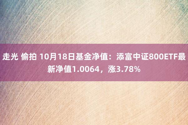 走光 偷拍 10月18日基金净值：添富中证800ETF最新净值1.0064，涨3.78%