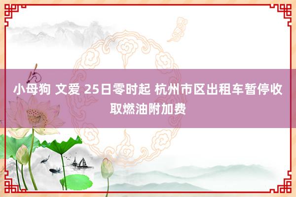 小母狗 文爱 25日零时起 杭州市区出租车暂停收取燃油附加费