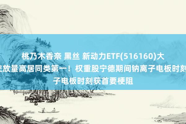 桃乃木香奈 黑丝 新动力ETF(516160)大涨7%，成交放量高居同类第一！权重股宁德期间钠离子电板时刻获首要梗阻