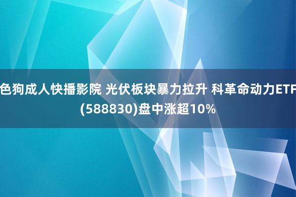 色狗成人快播影院 光伏板块暴力拉升 科革命动力ETF(588830)盘中涨超10%