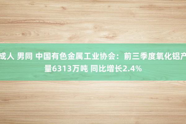 成人 男同 中国有色金属工业协会：前三季度氧化铝产量6313万吨 同比增长2.4%