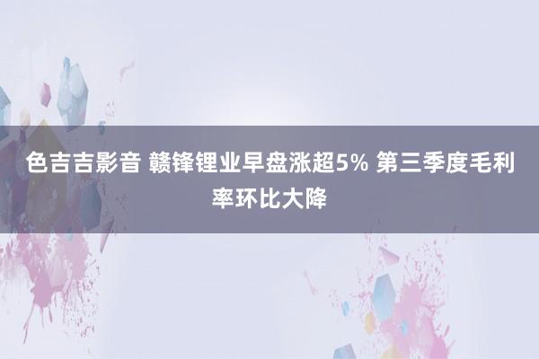 色吉吉影音 赣锋锂业早盘涨超5% 第三季度毛利率环比大降