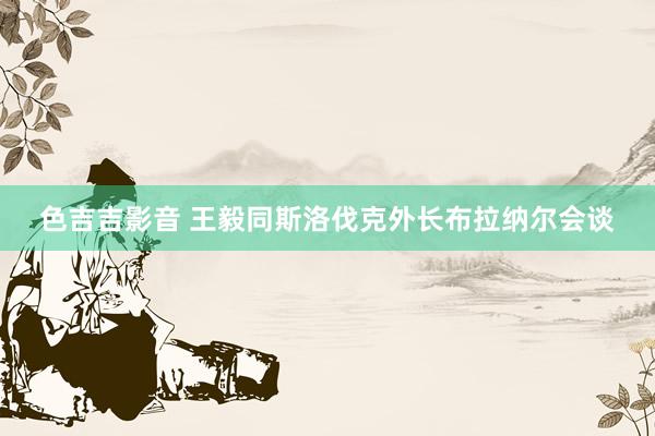 色吉吉影音 王毅同斯洛伐克外长布拉纳尔会谈