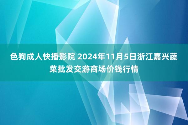 色狗成人快播影院 2024年11月5日浙江嘉兴蔬菜批发交游商场价钱行情