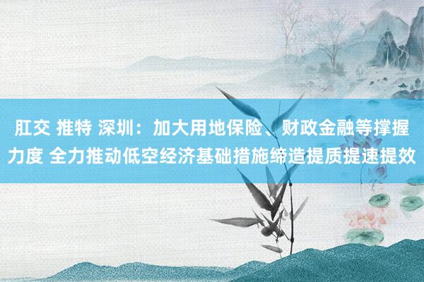 肛交 推特 深圳：加大用地保险、财政金融等撑握力度 全力推动低空经济基础措施缔造提质提速提效