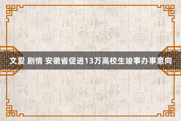 文爱 剧情 安徽省促进13万高校生竣事办事意向