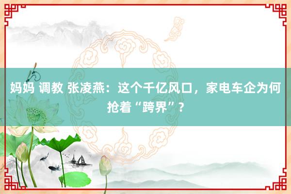 妈妈 调教 张凌燕：这个千亿风口，家电车企为何抢着“跨界”？