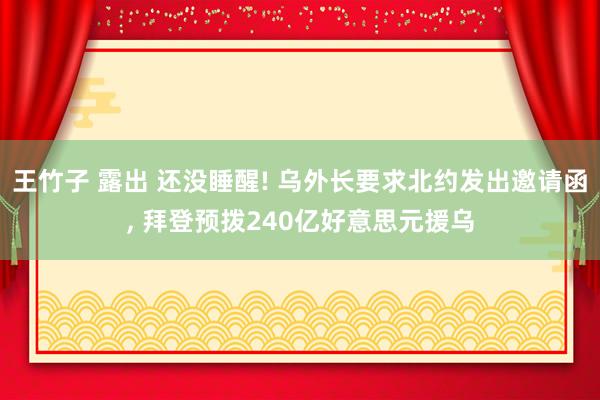 王竹子 露出 还没睡醒! 乌外长要求北约发出邀请函， 拜登预拨240亿好意思元援乌