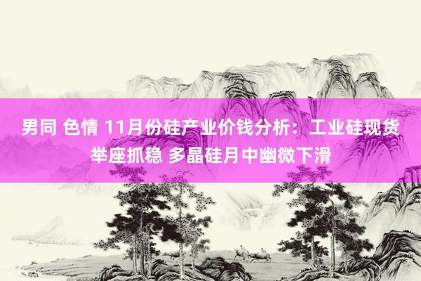 男同 色情 11月份硅产业价钱分析：工业硅现货举座抓稳 多晶硅月中幽微下滑