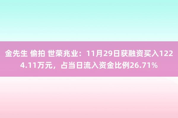 金先生 偷拍 世荣兆业：11月29日获融资买入1224.11万元，占当日流入资金比例26.71%