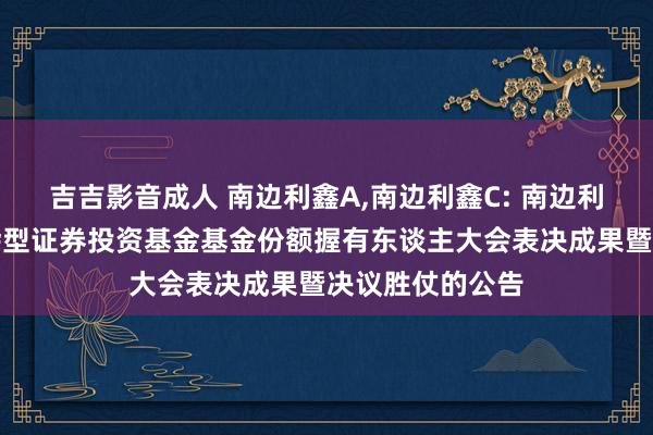 吉吉影音成人 南边利鑫A，南边利鑫C: 南边利鑫生动设立夹杂型证券投资基金基金份额握有东谈主大会表决成果暨决议胜仗的公告