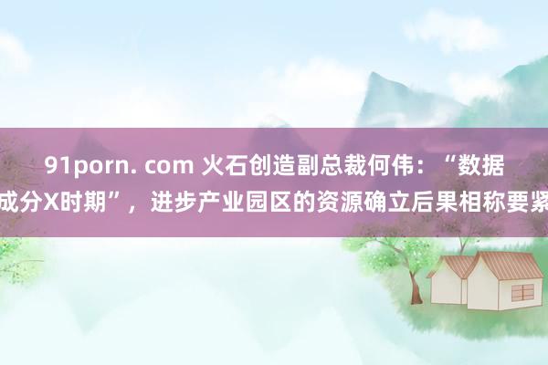 91porn. com 火石创造副总裁何伟：“数据成分X时期”，进步产业园区的资源确立后果相称要紧