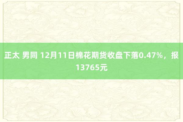 正太 男同 12月11日棉花期货收盘下落0.47%，报13765元