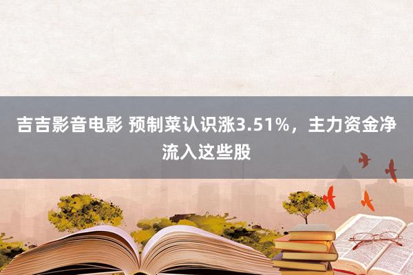 吉吉影音电影 预制菜认识涨3.51%，主力资金净流入这些股