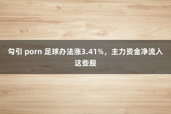 勾引 porn 足球办法涨3.41%，主力资金净流入这些股