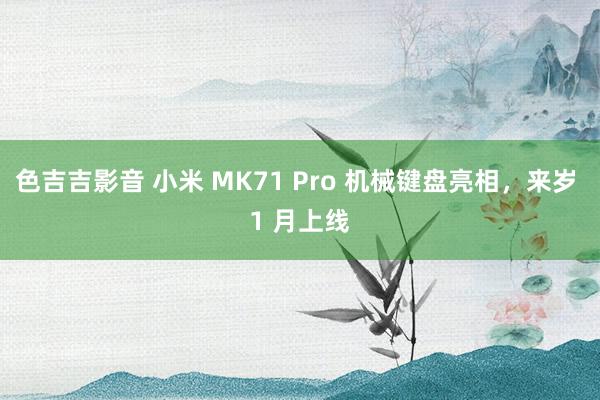 色吉吉影音 小米 MK71 Pro 机械键盘亮相，来岁 1 月上线