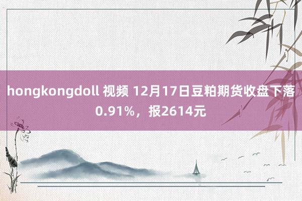 hongkongdoll 视频 12月17日豆粕期货收盘下落0.91%，报2614元