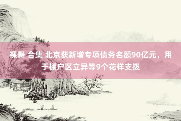 裸舞 合集 北京获新增专项债务名额90亿元，用于棚户区立异等9个花样支拨