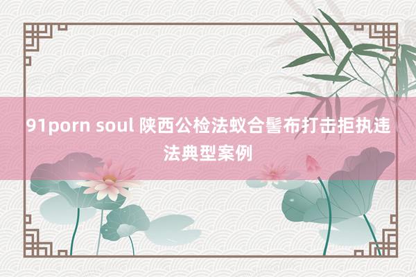 91porn soul 陕西公检法蚁合髻布打击拒执违法典型案例