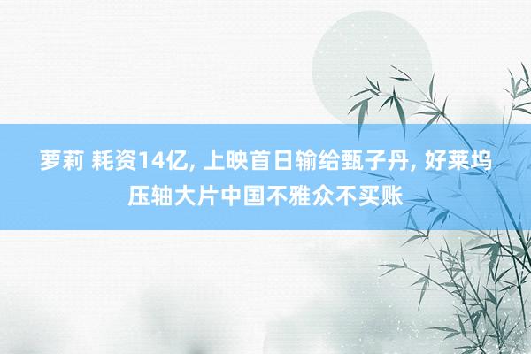 萝莉 耗资14亿， 上映首日输给甄子丹， 好莱坞压轴大片中国不雅众不买账