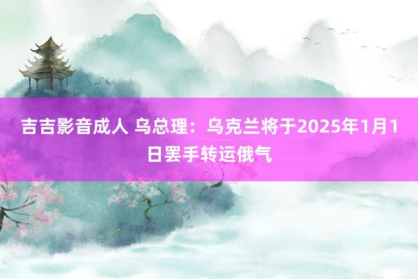 吉吉影音成人 乌总理：乌克兰将于2025年1月1日罢手转运俄气