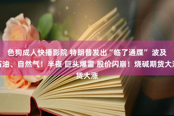 色狗成人快播影院 特朗普发出“临了通牒” 波及石油、自然气！半夜 巨头爆雷 股价闪崩！烧碱期货大涨