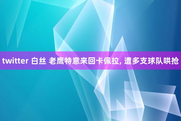 twitter 白丝 老鹰特意来回卡佩拉， 遭多支球队哄抢