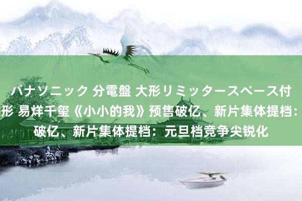 パナソニック 分電盤 大形リミッタースペース付 露出・半埋込両用形 易烊千玺《小小的我》预售破亿、新片集体提档：元旦档竞争尖锐化