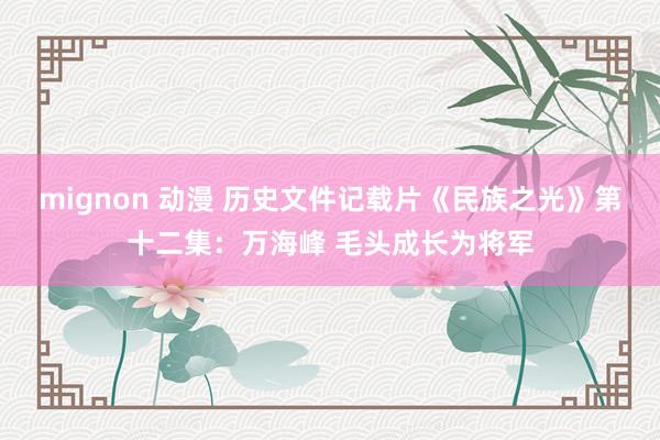 mignon 动漫 历史文件记载片《民族之光》第十二集：万海峰 毛头成长为将军